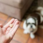 srčni utrip vitamini za pse