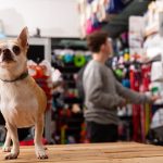 Trgovina za male živali poleg vrhunskih izdelkov nudi še koristne nasvete trgovina za male živali