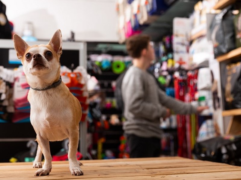 trgovina za male živali